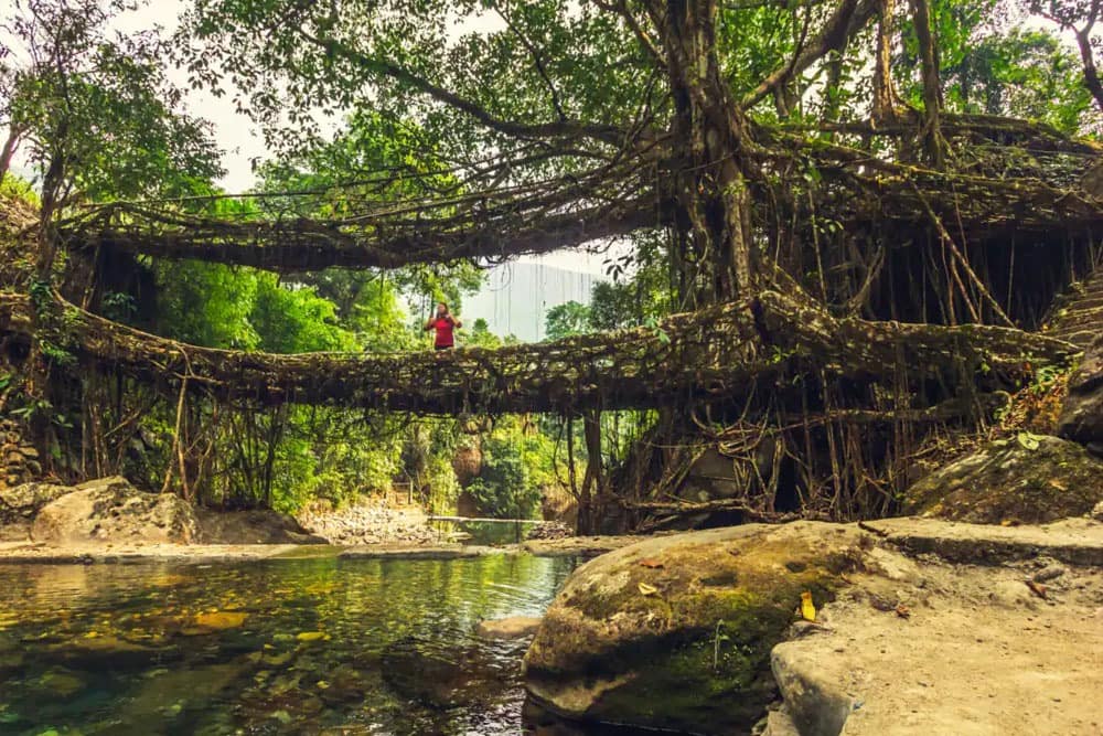NORTH EAST TOURS 7 Beautiful Meghalaya Cherrapunjee