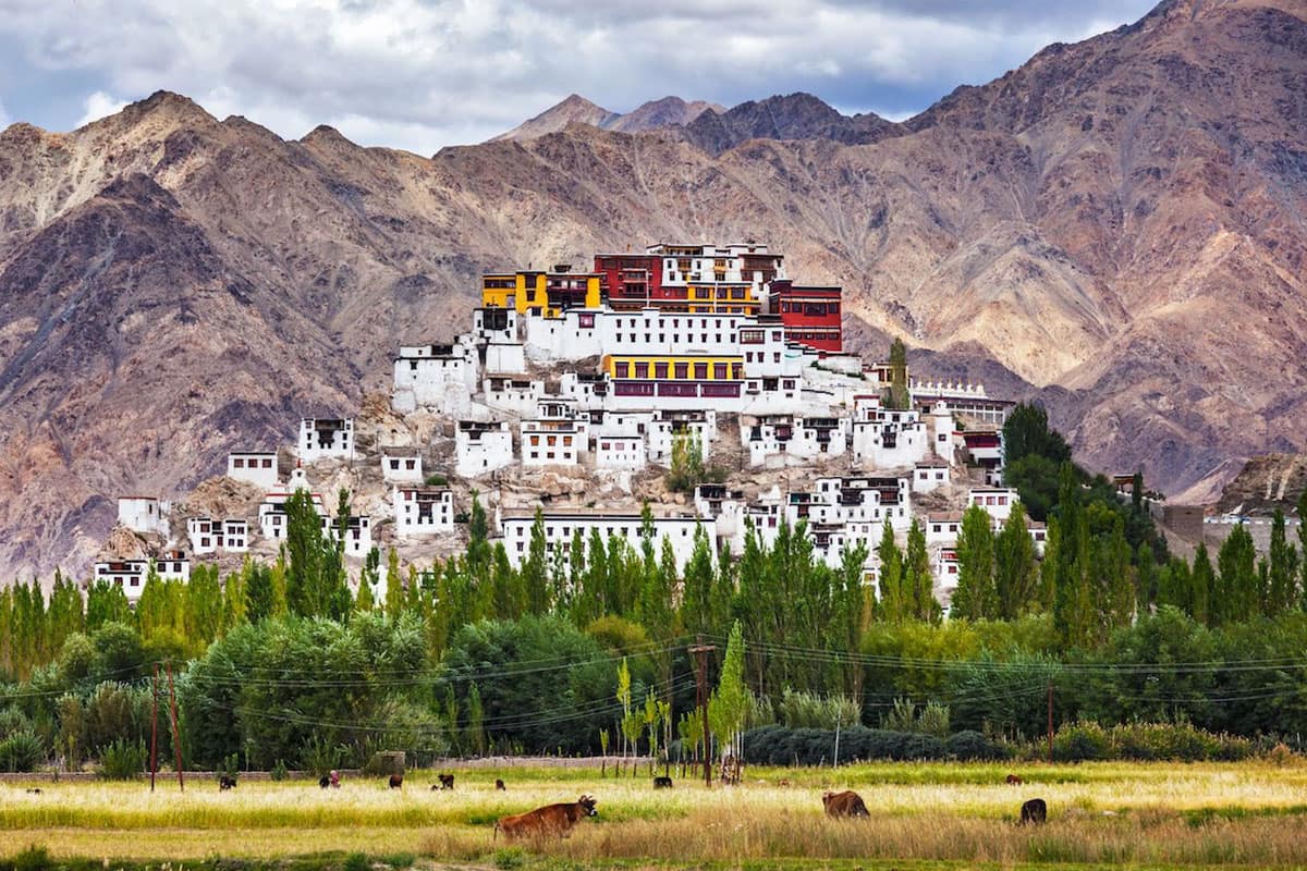 LADAKH 3 ladakh Tour 1