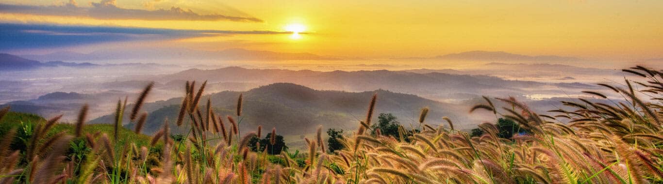 THAILAND 4 NGITH 5 DAYS 8 Thailand 6