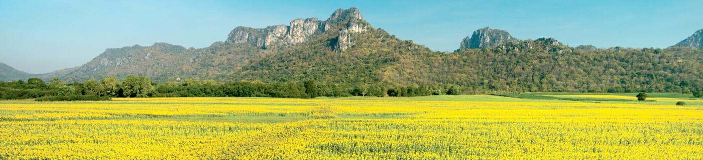 THAILAND 4 NGITH 5 DAYS 3 Thailand 9