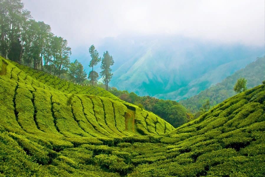 KERALA TOUR 2 Parikrama Travels Kerala 3