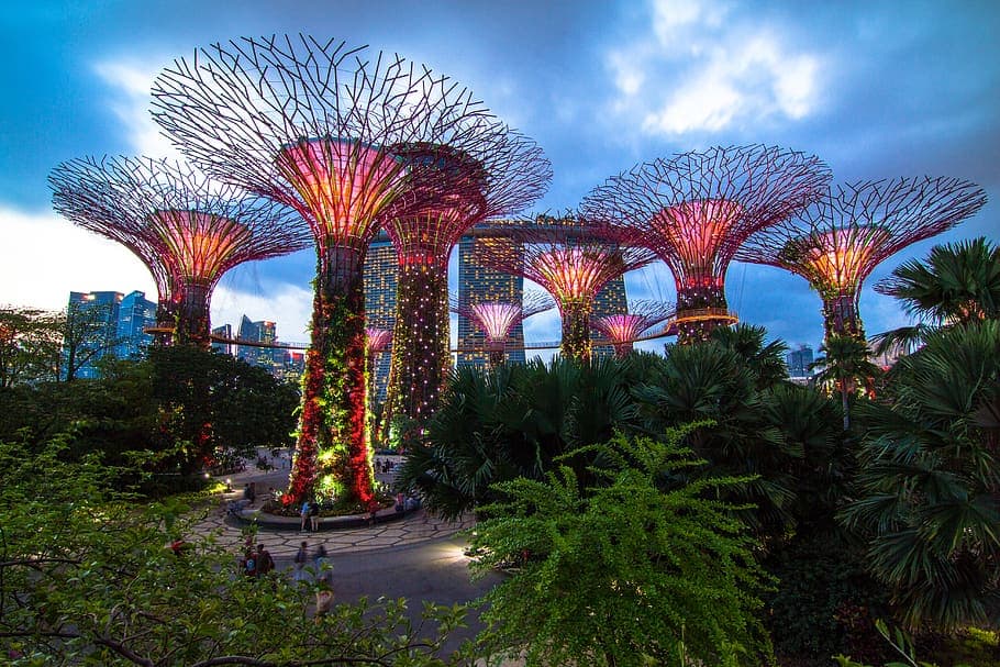 SINGAPORE TOUR 4 SINGAPORE from PURI